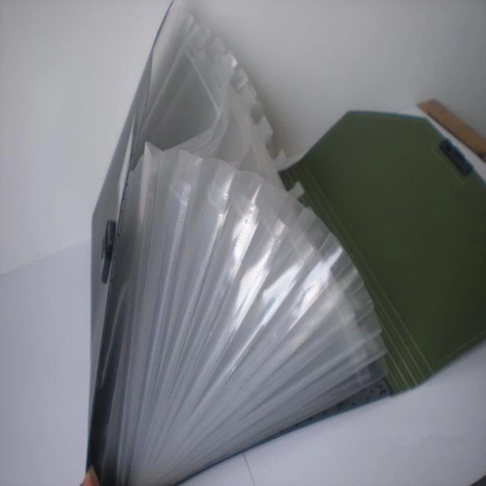 Multi Pages Pp Folder
